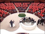 Mustafa Adıgüzel'in Meclis konuşması