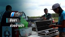 ทีมสัตวแพทย์ตัดสินใจยิงยาปฏิชีวนะช่วยช้างป่า | เที่ยงทันข่าว