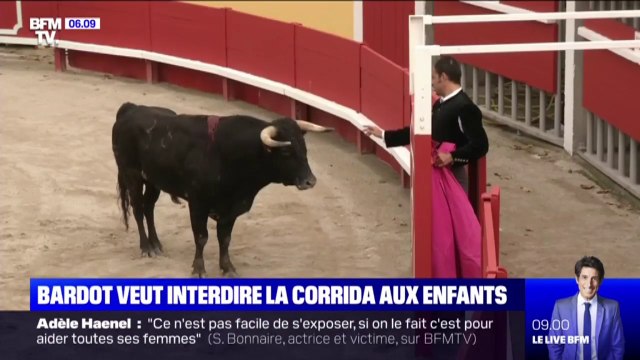 Brigitte Bardot veut interdire les corridas aux enfants
