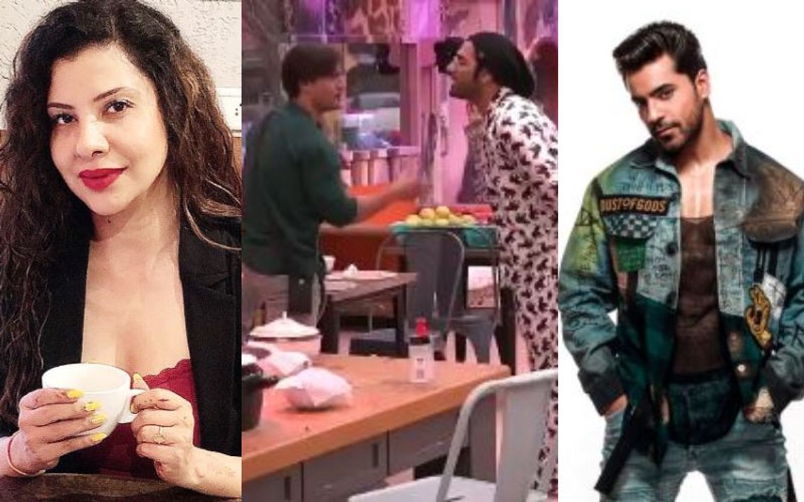 Bigg Boss 13: 'Asim Khel Gaya' Say Sambhavna Seth And Gautam Gulati On Asim Riaz-Paras Chhabra's BIGG FIGHT