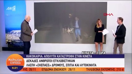 Canlı yayın yapan muhabiri domuz kovaladı