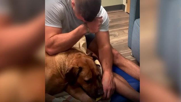 Vídeo viral: Este hombre llora mientras da de comer a su perro por última vez