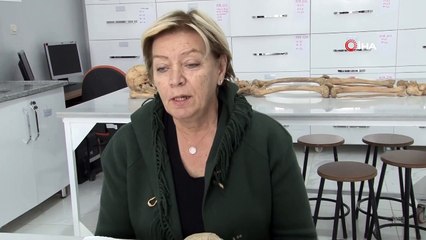 Tam 3 Bin 500 Yıllık Keşif Bilim Dünyasını Heyecanlandırdı
