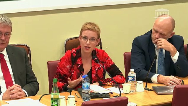 Commission des affaires étrangères : M. Jean-Yves Le Drian, ministre de l'Europe et des affaires étrangères - Mercredi 27 novembre 2019