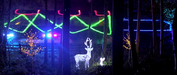 NYMR Northern Lights Express