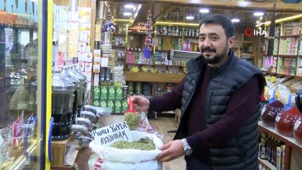 Kurusu yaşının 10 katı fiyatında