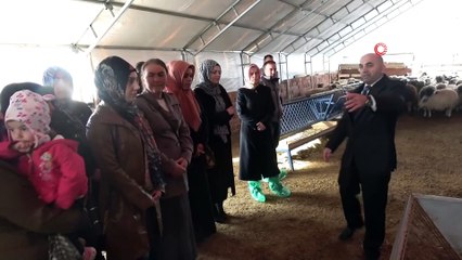 Çobanlık akademisine kadınların yoğun ilgisi