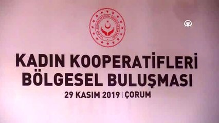 Zümrüt Selçuk: "Türkiye olarak, kooperatif sayısı itibarıyla İtalya ve İspanya'dan sonra Avrupa'da...