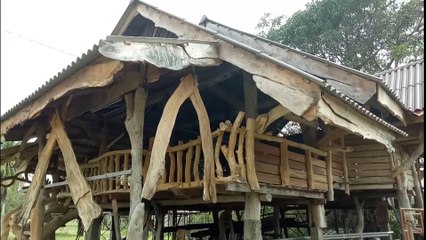 House made out of fallen tree branches in Malaysia