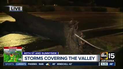 Storm causing damage around the Valley