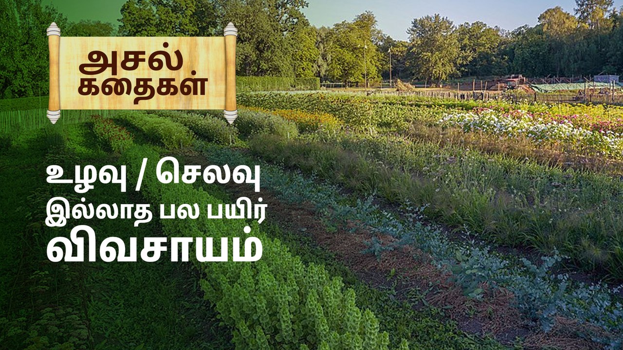 நிரந்தர வேளாண்மை - உழவு / செலவு இல்லாத பல பயிர் விவசாயம்..!