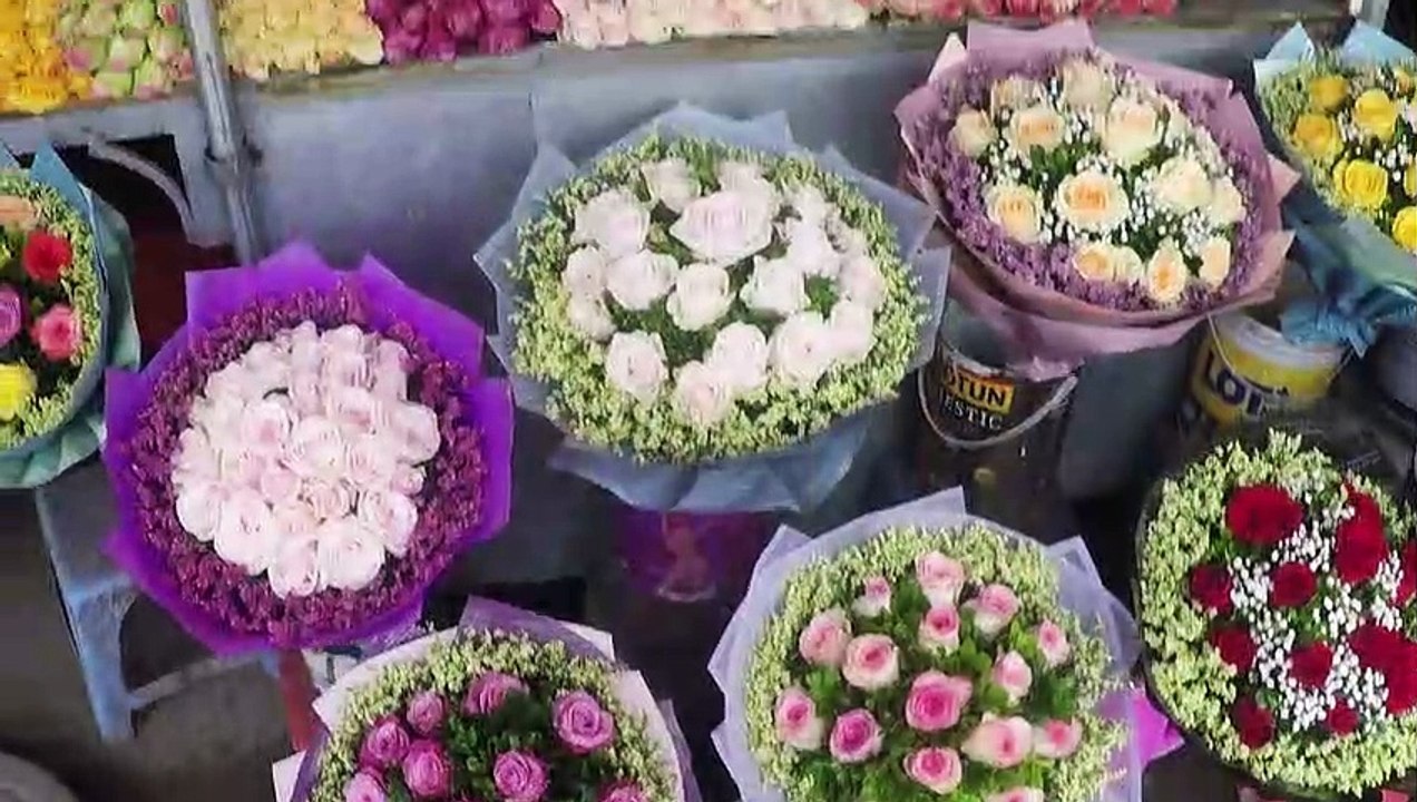 Vietnam : VIDEO Hanoi