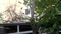 Şişli'de aşırı rüzgardan kırılan ağaç dalı, restoran çatısına düştü