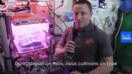Ask Our Astronaut | Quelles plantes comestibles poussent le mieux dans l'ISS ?