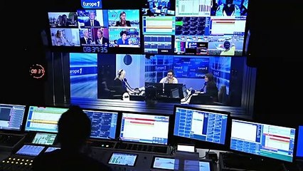 Vivre au contact des animaux : une solution pour notre bien-être