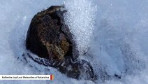 Antarctica's 'Missing Meteorites' Continue To Baffle Scientists