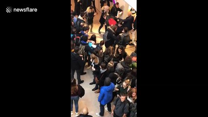 Climate activists in Paris form human block at storefronts to protest Black Friday