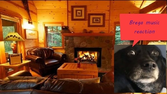 Brega music reaction episódio I - Saudades de Rosa