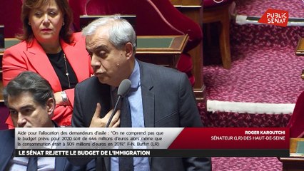 Projet de loi de Finances 2020 : le Sénat rejette les budgets de l'Immigration e - Les matins du Sénat (29/11/2019)