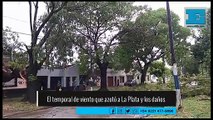 El temporal de viento y los daños en La Plata