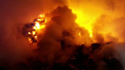 나주 폐목재 처리 공장 불, 이틀째 진화...도심 멧돼지 사살 / YTN