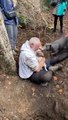 Retrouvailles émouvantes entre un homme et son chien ayant disparu depuis des jours