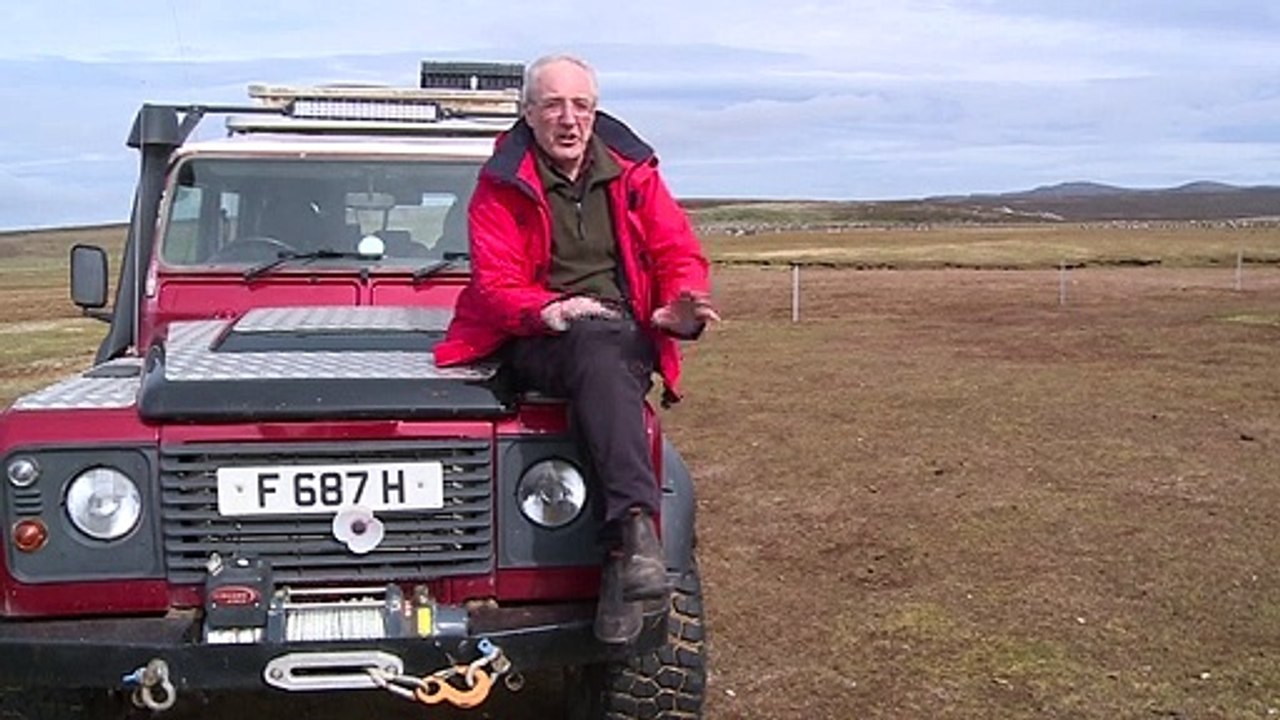 Las Malvinas pasan de la tradicional cría de ov...