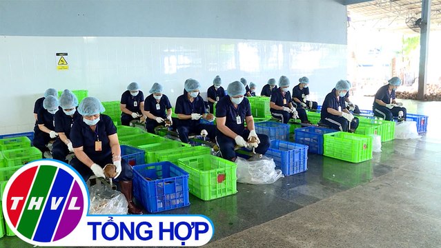 Phóng sự: Dịch vụ thuê ngoài - giải pháp tiết kiệm chi phí cho doanh nghiệp