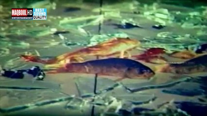 reema khan dance from movie dil to pagal hai