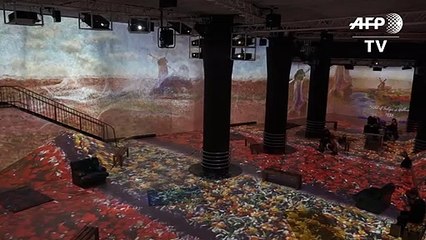 Imersão nas telas de Monet