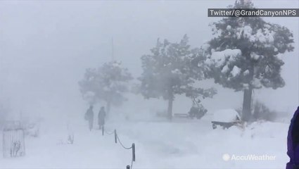 Blizzard-like conditions blanket the Grand Canyon in snow