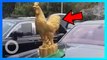 Pemilik Rolls-Royce ini ganti ornamen asli dengan patung emas ayam - TomoNews