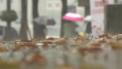 [날씨] 주말까지 늦가을...내일 전국 추위 부르는 비 / YTN