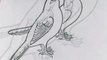 how to draw bird | Bird drawing trick | Drawing for kids | Drawing tutorial |Art tutorial | bird art