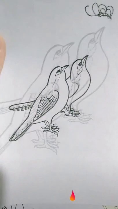 how to draw bird | Bird drawing trick | Drawing for kids | Drawing tutorial |Art tutorial | bird art