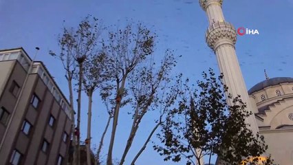 - ÖZEL)  Gökyüzünde dans edercesine uçan sığırcık kuşları görenleri hayran bıraktı