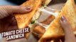 Melted Cheese Tomato Sandwich | Easy Cheese Tomato Toast Sandwich Recipe | Tomato Cheese Sandwich