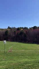 Helping the Yearly Tenants Build Their Nest