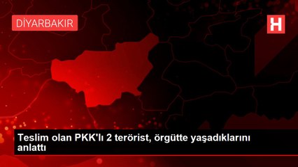 Teslim olan PKK'lı 2 terörist, örgütte yaşadıklarını anlattı