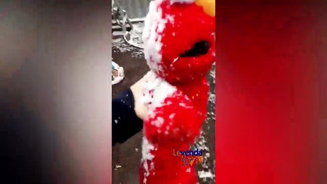 10 Minutos de Videos Graciosos Recopilación de Videos Graciosos /10 Minutes of Funny Videos Collection of Funny Videos
