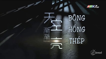 Bông Hồng Thép Tập 1 - Phim Singapore HTV7 Lồng Tiếng