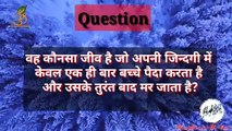 interesting GK | interview question | IQ test | By Manzilein aur bhi hain
