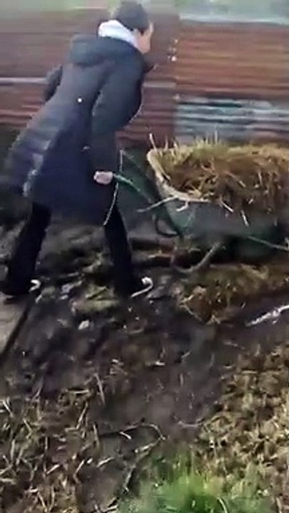 Une femme contre une brouette, regardez jusqu'à la fin