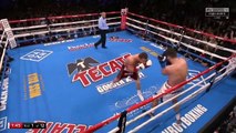 Saul Canelo Alvarez Vs Rocky Fielding Highlights (A Great Knockout Victory)