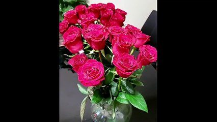 Hanya rindu ibu Bonda Intan Liana