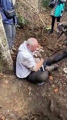 Retrouvailles émouvantes entre un homme et son chien perdu