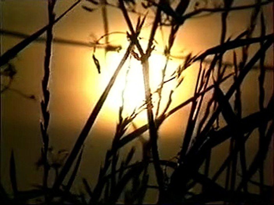 épisode 06
