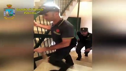 Palermo - Fermato all'aeroporto, coltivava stupefacenti (30.11.19)