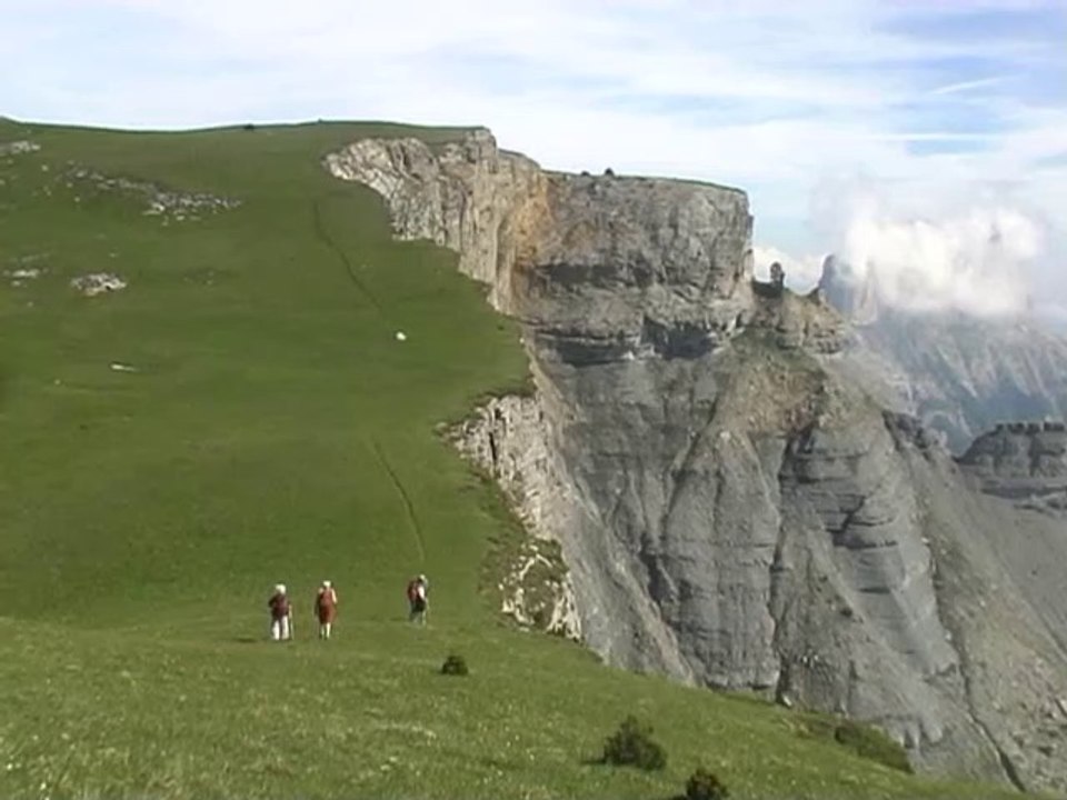 Tête Chevalière