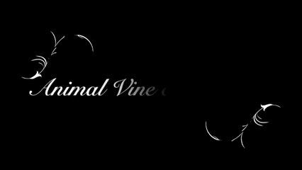 RIP VINE Compilation (Animal Edition)